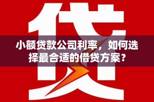 澳门小额贷款公司利率，如何选择最合适的借贷方案？